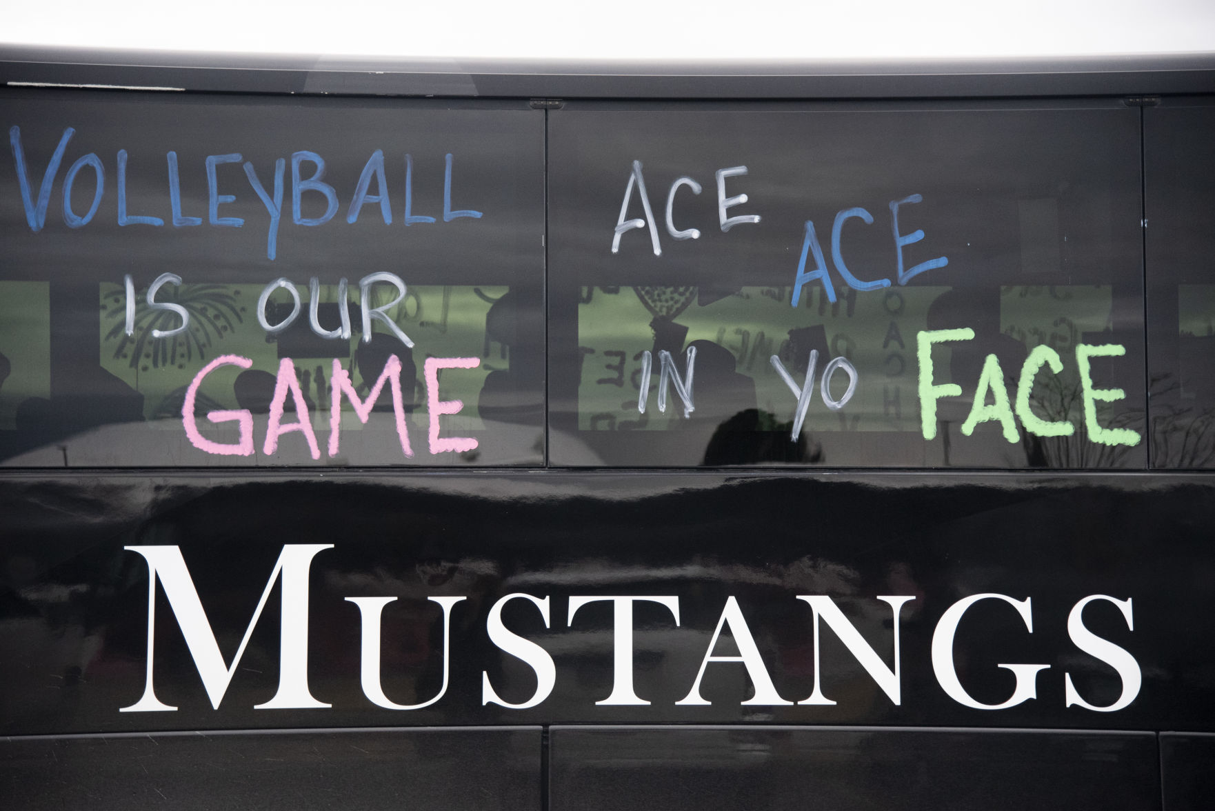 State volleyball photo